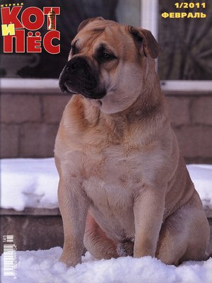 cover image of Кот и Пёс №1/2011